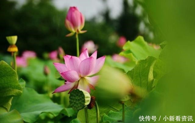 如何用古诗词表达我想你如果这十句都知道,容我叫你一声情圣!