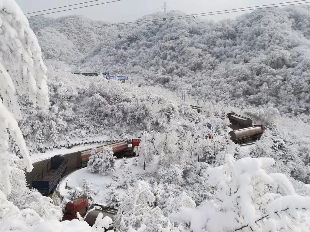 胜地|宝鸡这里雪景迷人，岭南公园成网红打卡胜地！