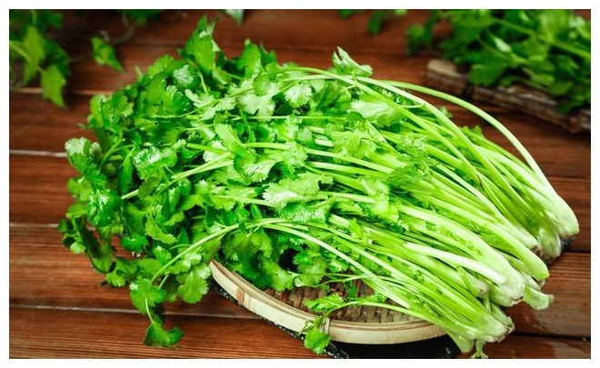 香菜保存有诀窍,3种储存方法,随吃随取,不发黄不腐烂,去试试