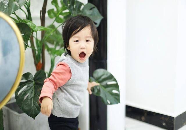 关键期|宝宝的语言发展有“阶段性”,把握好这三个关键期,帮宝宝早发声