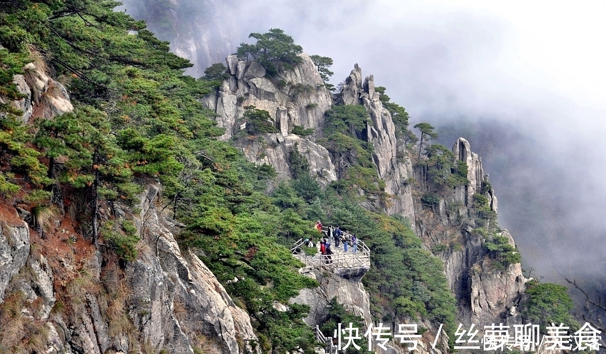 清新脱俗#十首隐士古诗词:香风不动松花老,白云遍地无人扫