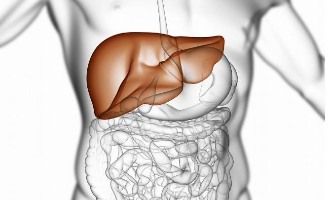 中年男性为什么要保护好前列腺?除了前列腺,还有5个重点保护区