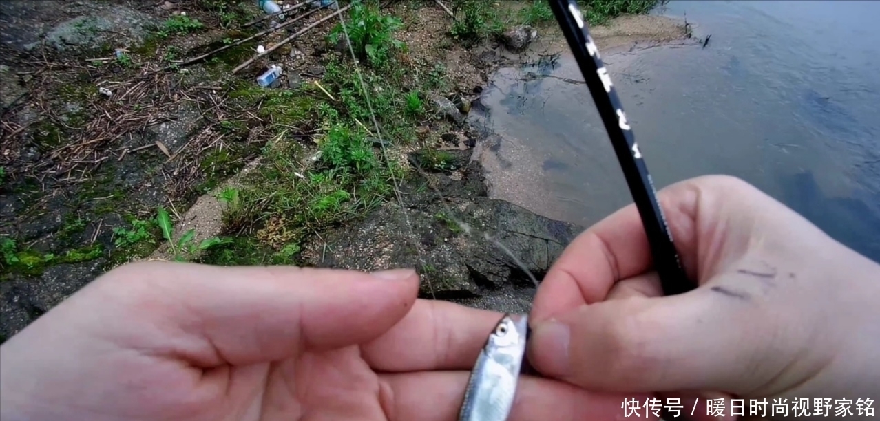 瓜子亮片|正确的瓜子亮片和钩子的距离才能钓更多的鱼 详解亮片和鱼钩距离