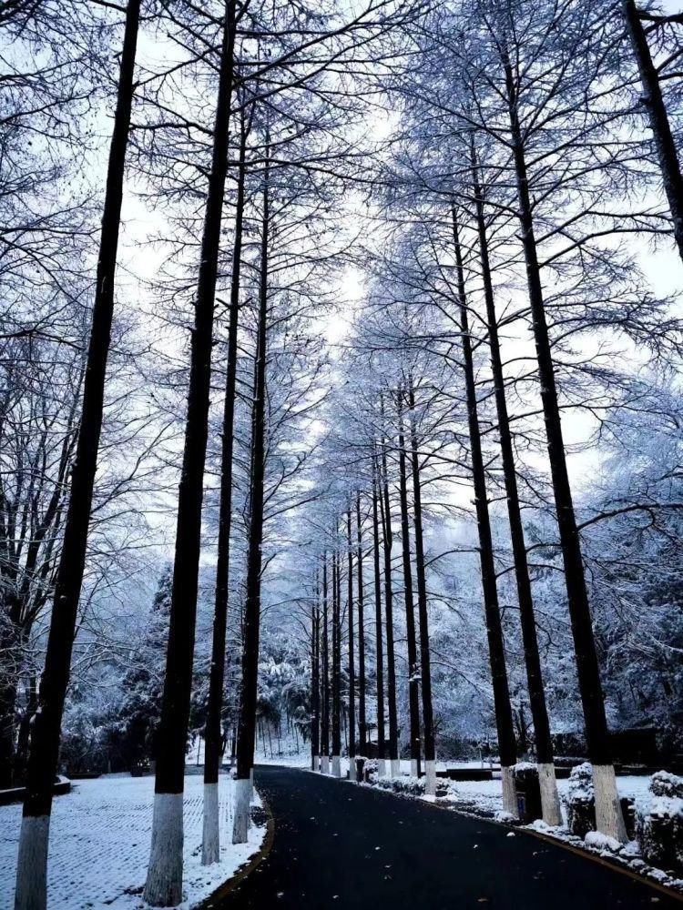 邂逅|来莫干山，邂逅一场冰雪奇缘吧！