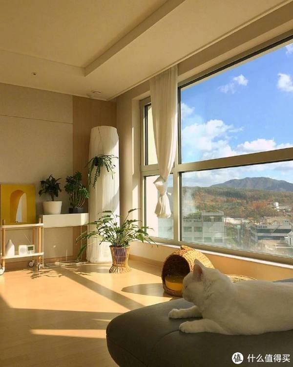 玻璃|金九银十装修旺季，高质量门窗选购指南，这些坑千万要避开！