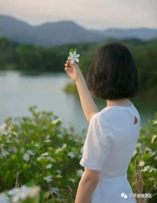 叶蓁蓁|初夏，去寺前赴一场栀子花之约