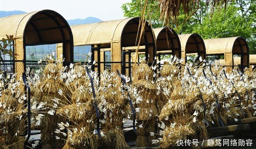 曹丕|生子当如孙仲谋,曹丕做了7年皇帝3征孙权,是在证明自己吗?