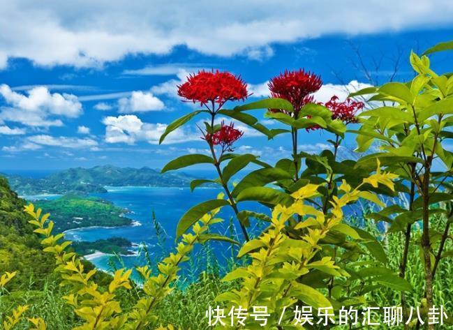 处女座|接下来三年,4个星座,埋头苦干,不惧困难,总能将苦日子变甜