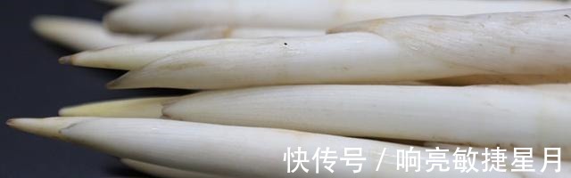 淤泥|淤泥中一种野菜,长得像藕带,离水后很快就老!