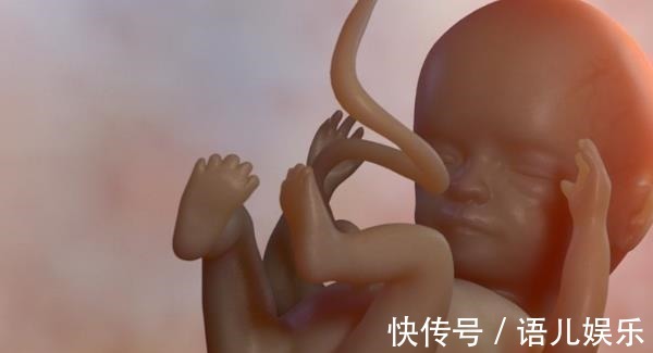 反应|怀孕后,为何有人一直吐,有人却从不吐医生和腹中胎儿有关