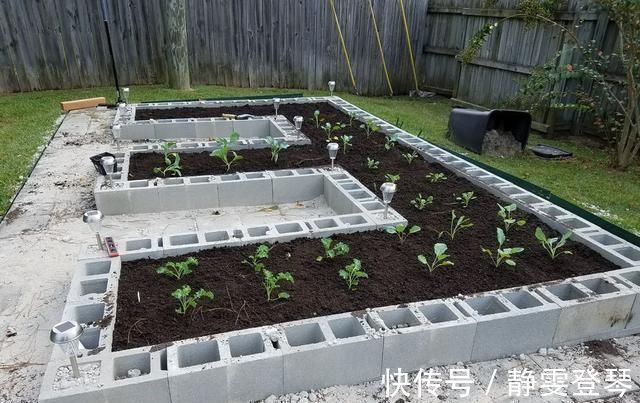 种菜|光秃秃院子太浪费,农村老爸用18块空心砖,改造成人见人爱的菜园