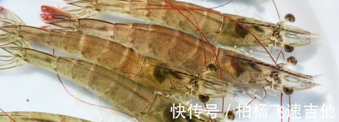 紫菜|秋天要多给孩子吃10种“钙库”，补钙长高个，营养丰富，身体棒！