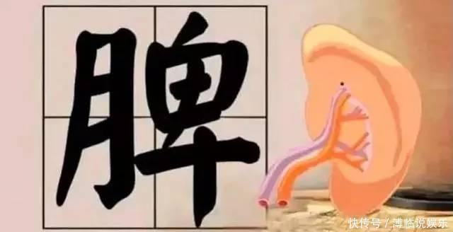 陳實功|百病皆由脾胃衰，一個經典食療方，專治脾胃虛弱