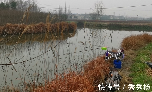 节气|冬季钓鱼,久坐无鱼咬钩,其实未必是天冷,原因更可能是这些!