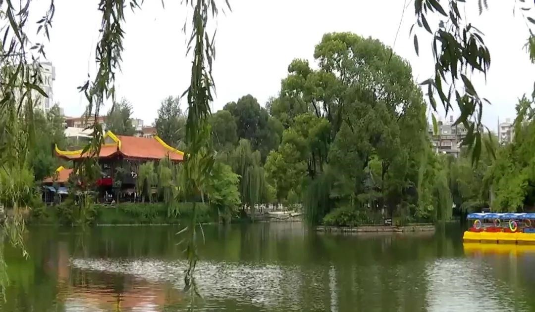 这场“寓教于乐”的活动,是为了环境卫生