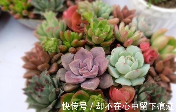 真爱|再过10天，遇到真爱，一见钟情，两情相悦，确定关系，进入婚姻