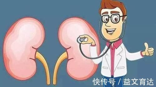 酸碱平衡|肾功能是什么?肌酐又是啥?血肌酐增高是否意味着肾功能不好了?