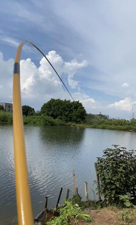 为何你的竿稍经常断?主因只有三个,稍微注意就不会