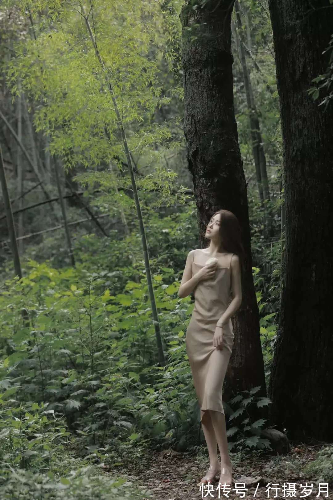 山之巅#相思一度,浓愁几赋