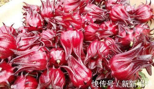 大肚腩|脂肪“害怕”6种食物,每天换着吃,刮油燃脂,大肚腩都没了