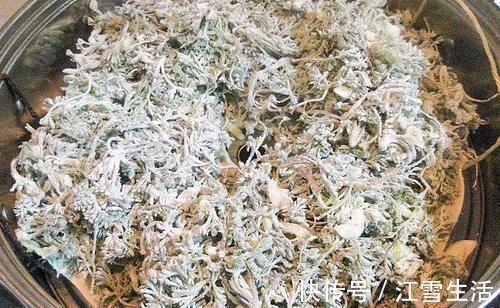 茵陈草|城里卖得比肉贵，人称“草中之王”，现在吃正当季，别错过