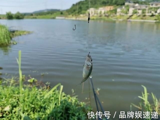 浮漂|下竿便中鱼,以为刚开始实际已结束,钓鱼中的五大“未解之谜”