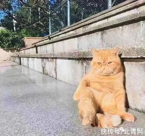 紫外线|什么？皮肤越黑越容易晒黑？！这条热搜让网友扎心了……