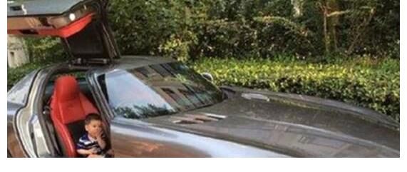 年仅30岁就身家过亿?霍思燕的一条狗就值600万,出行豪车不重样