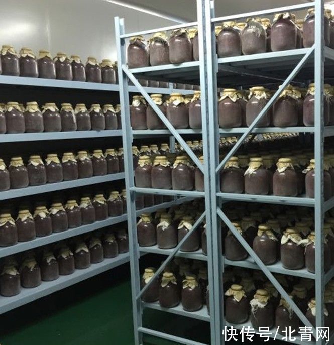 红曲|护血管只知道吃三七？天然“血管清道夫”，中医常用它泡水喝