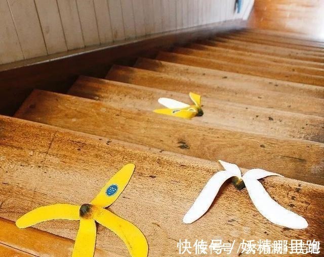 花生|日本设计脑洞有多大读完这些,你将明白