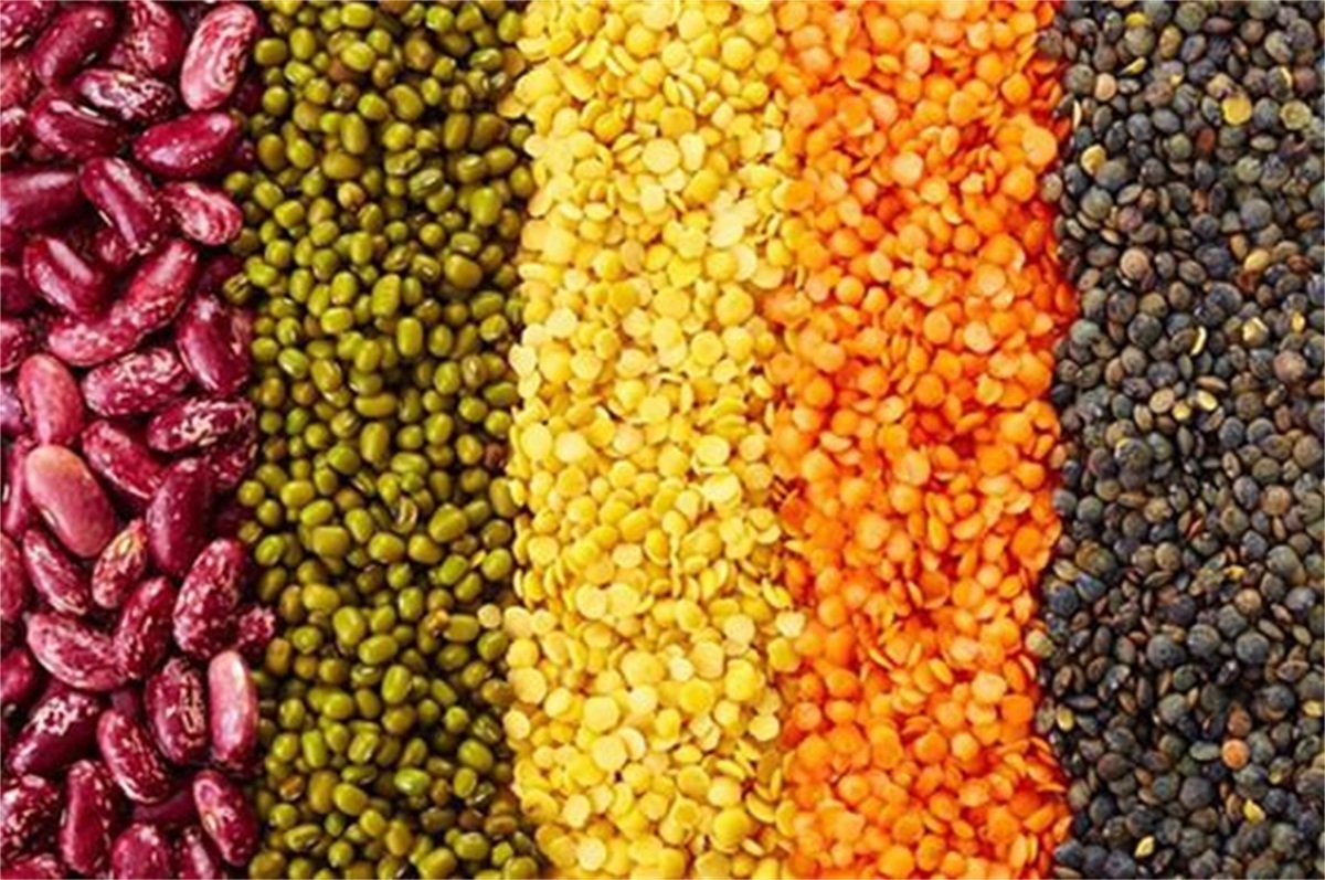 口感|酿酒材料不同,酒类的口感也大不相同