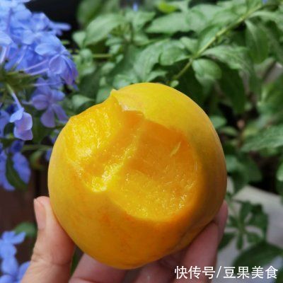 罐头|自制黄桃罐头，夏日清凉桃子香