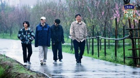 節目|本來想看王冰冰的，沒想到被節目吸了粉