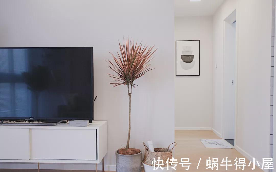 齐家云云|110㎡北欧原木风，这样设计在搭配几盆绿植，格局瞬间大了很多