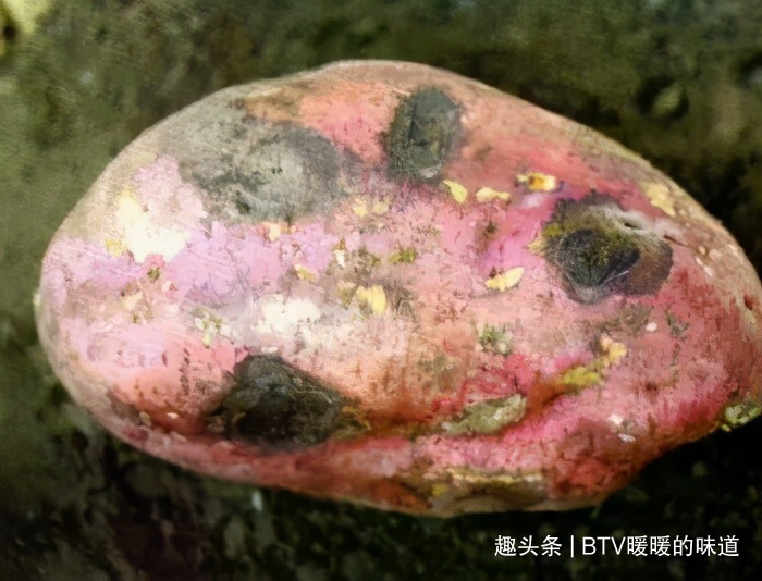 4种食物发芽后，营养更丰富，别再扔掉浪费了！