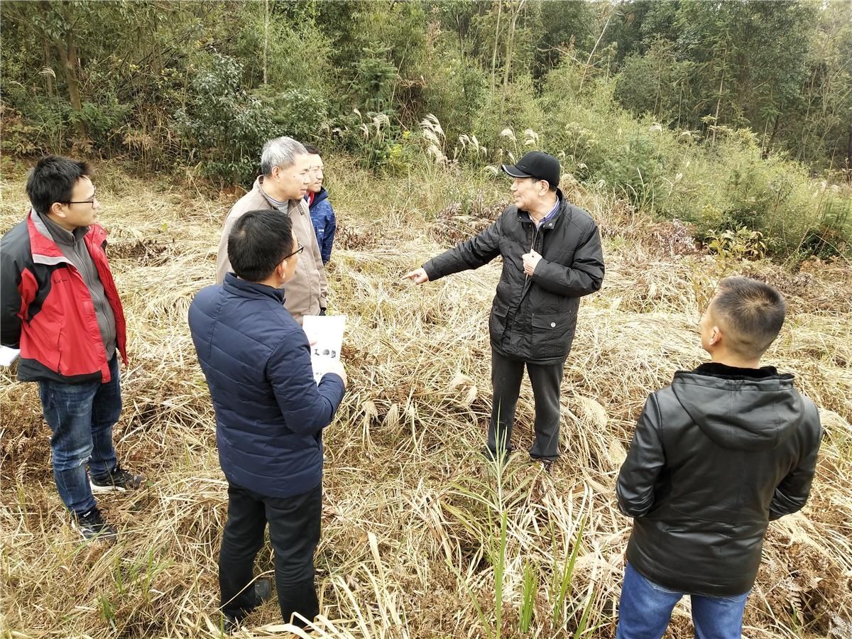  高崇文教授|湘鄂豫皖楚文化研究会专家来汨调研