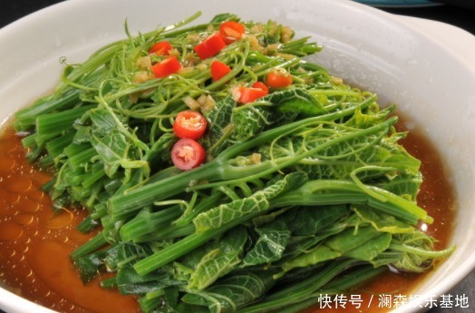 素菜|它形似龙须,生长在海边石头上,曾被喂鲍鱼,今成“素菜之珍”