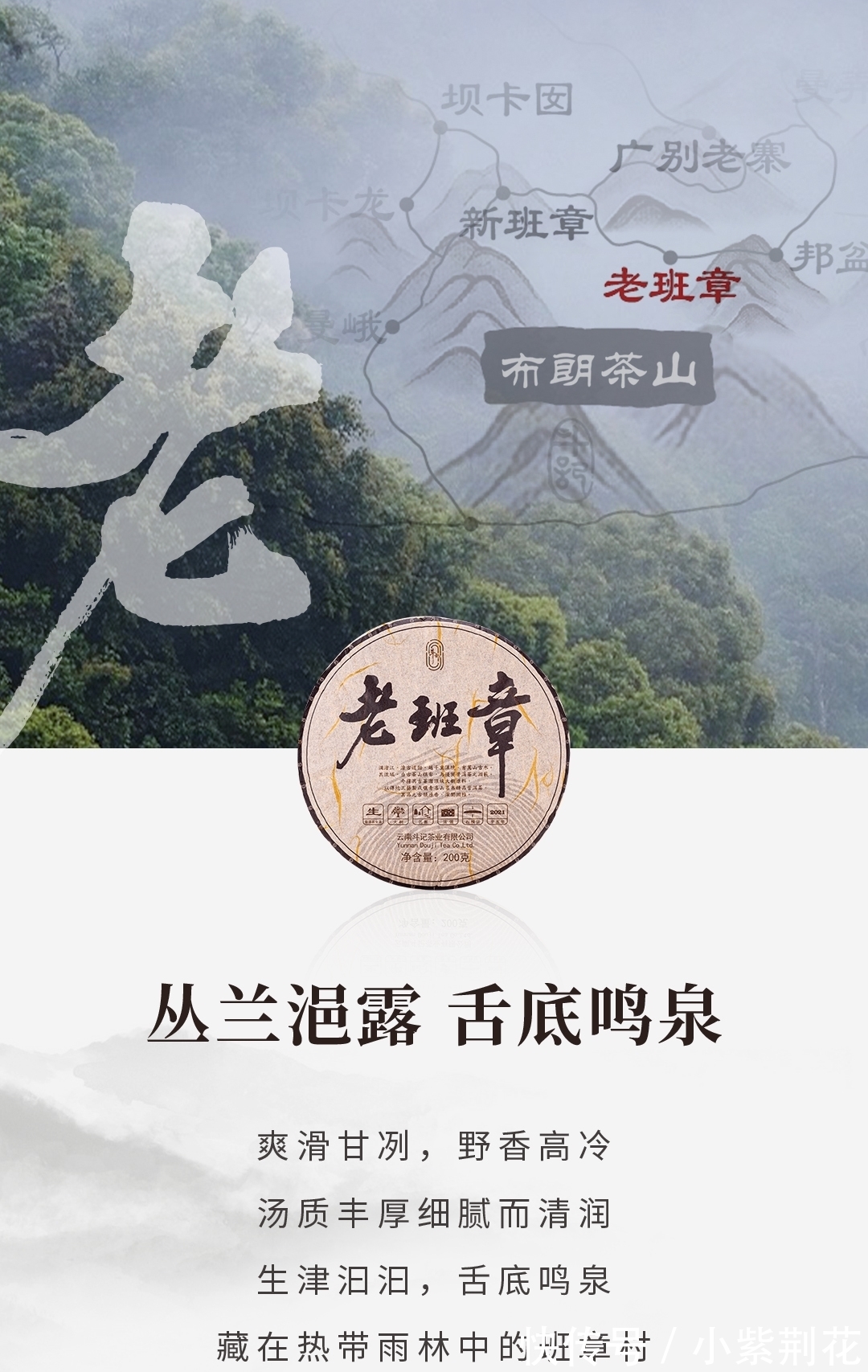 刮风寨|斗记名山名寨发烧级刮风寨、保塘旧寨、老班章、曼新竜口感特点