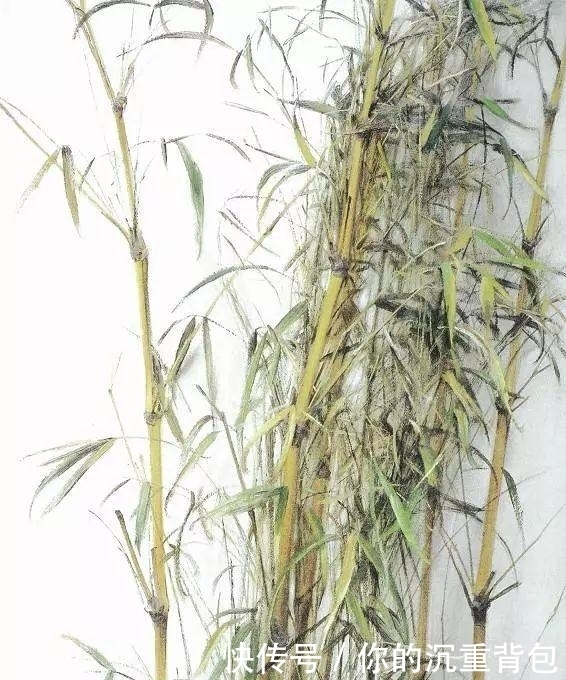 冷军的油画竹子和90后大叔池静山笔下的墨竹,你更喜欢哪个呢
