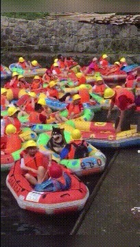 |搞笑GIF：看到妹子这个场景，真是感觉活得还不如一面墙啊