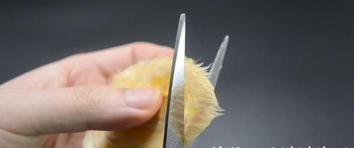 芒果核扔掉可惜了，这个用途懂的人还不多，早点知道就好了