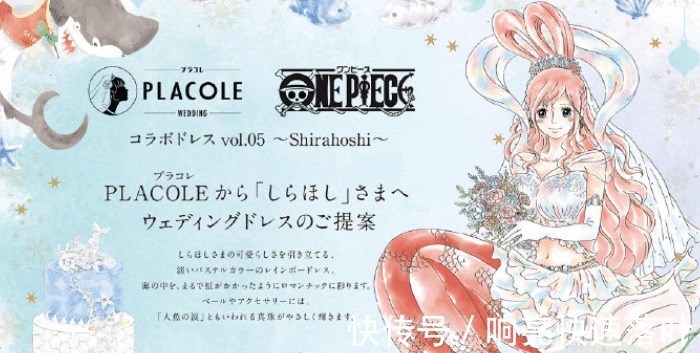 婚纱照|海贼王众女主婚纱照，白星可爱，大和唯美，佩罗娜很“邪恶”