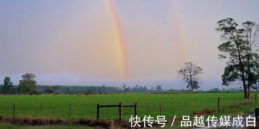 重情重义|一个小小的细节,会暴露了最真实的人