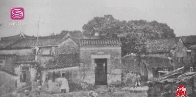 印迹|乡愁印迹!追寻龙岗荷坳的历史