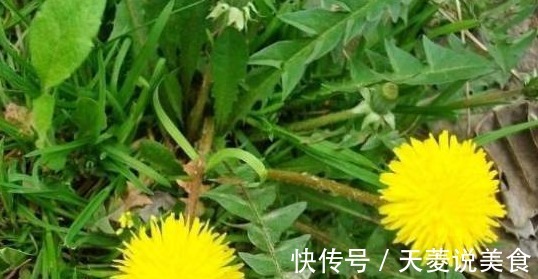 食物|三伏天到了,女人多吃以下食物,补血润肤,排毒消脂,好处多多