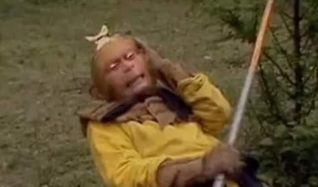 师父|猪八戒的师父是谁?比菩提老祖还牛,难怪一上天就当上天蓬元帅!