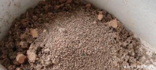 农村人都当垃圾的东西,城里人竟拿来种花,比营养土更好用!