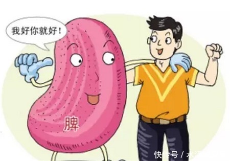 一篇你从未见过,把补脾知识全讲明白的文章!懂养生的人都收藏了