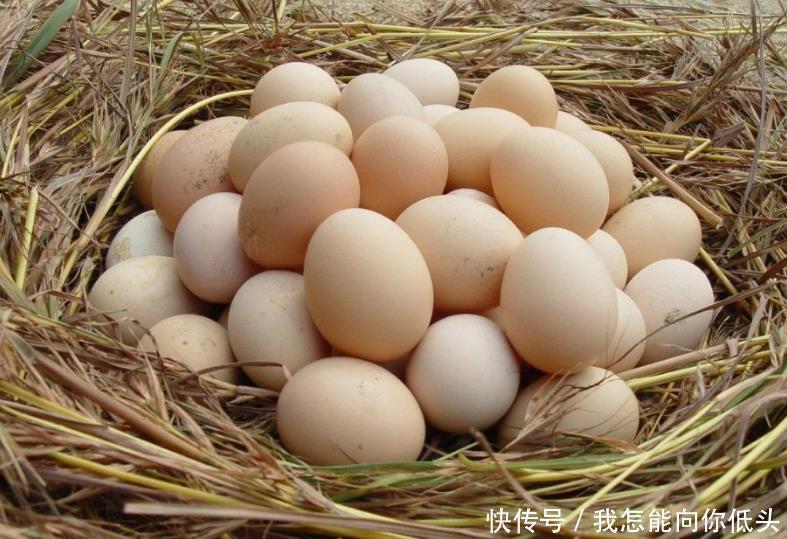 接受|太过分2家超市的鸡蛋查出违禁兽药,大家接受不了