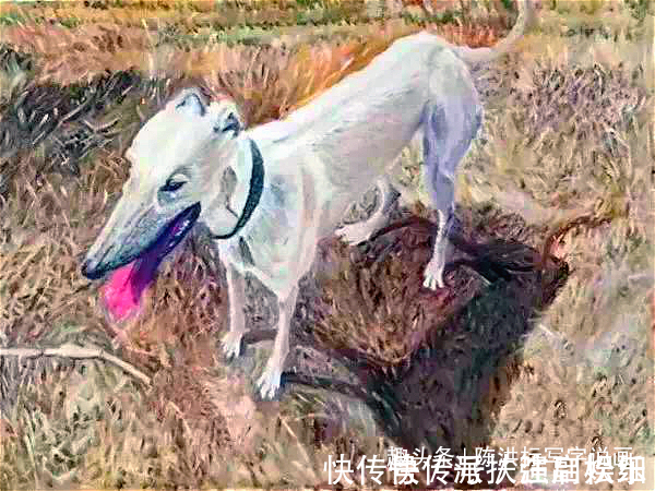 艺术作品&她48岁学画,一年就办个人画展!专家没艺术价值,是农妇乱涂鸦